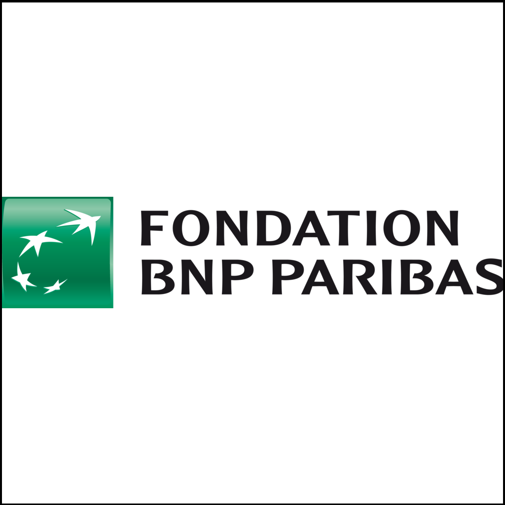 fondation bnp